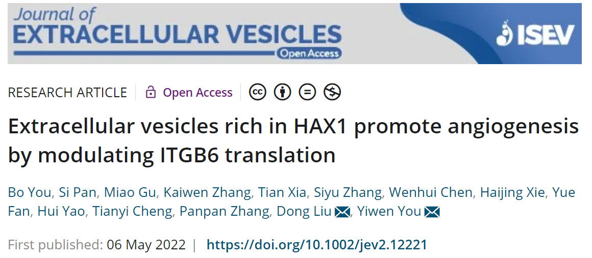 J Extracell Vesicles | 南通大学附属医院尤易文团队：细胞外囊泡调控蛋 白翻译效率促进肿瘤相关血管形成