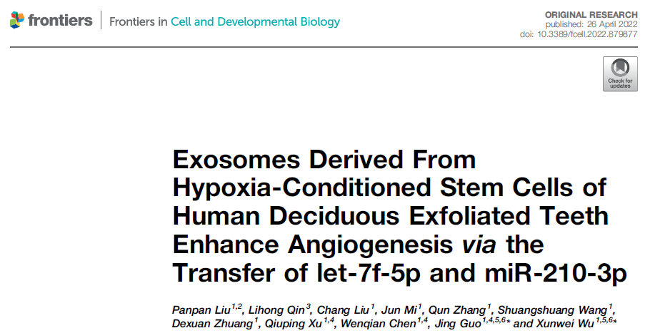 FRONT CELL DEV BIOL | 山东大学和杭州医学院：缺氧条件下人脱落乳牙牙髓干细胞来源外泌体促进血管生成