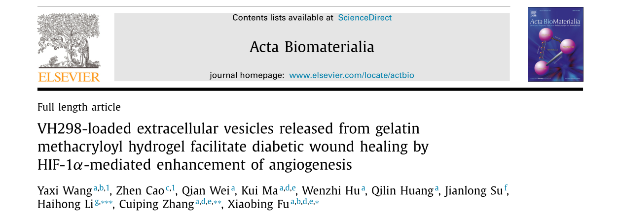 ACTA BIOMATER | 解放军总医院付小兵/张翠萍团队：水凝胶缓释细胞外囊泡加速糖尿病小鼠创面愈合和血管再生