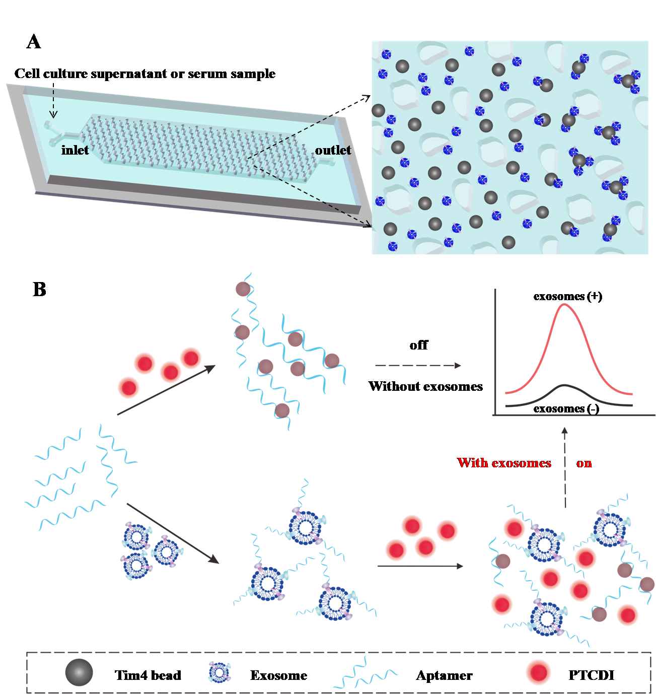 Anal. Chem. | 华东理工大学叶邦策教授团队：一种用于外泌体分离富集的微流控芯片和表面蛋白分析策略