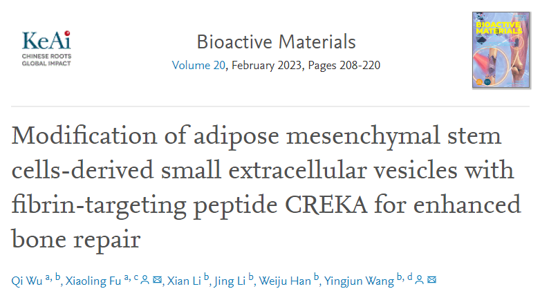 Bioact Mater|华南理工大学王迎军、付晓玲团队：纤维蛋白靶向肽CREKA修饰的脂肪间充质干细胞源性细胞外囊泡促进骨修复