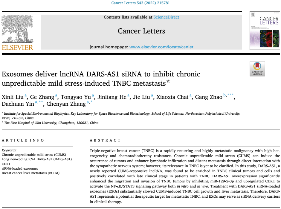 Cancer Lett |西北工业大学尹大川团队发现外泌体递送DARS-AS1 siRNA可用于抑制慢性应激诱导的乳腺癌侵袭转移