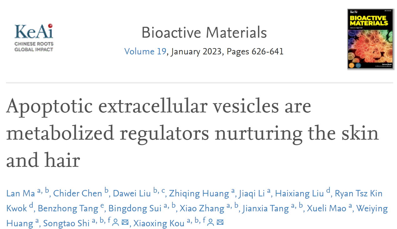 Bioact Mater. | 中山大学附属口腔医院施松涛/寇晓星教授团队发现凋亡囊泡是一种营养皮肤和毛发的代谢性调控物