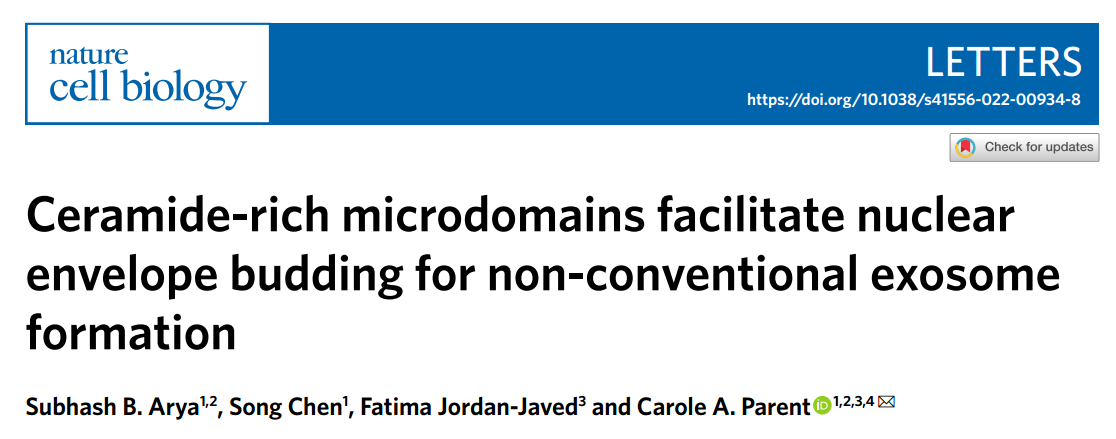 【NCB】非常规外泌体形成途径——富含神经酰胺的微区促进核包膜出芽