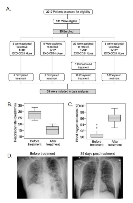 EMBO Mol Med丨外泌体药物EXO-CD24有助于减轻新冠病毒引起的免疫过度活跃