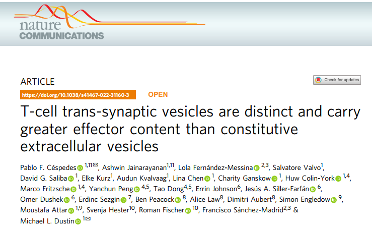 【NC】牛津大学：T细胞跨突触小泡是独特的，比组成型细胞外小泡携带更多效应物