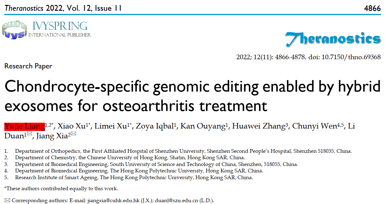 Theranostics|香港中文大学夏江和深圳市第二人民医院骨科: 构建基因工程外泌体用于靶向递送基因编辑工具治疗骨性关节炎