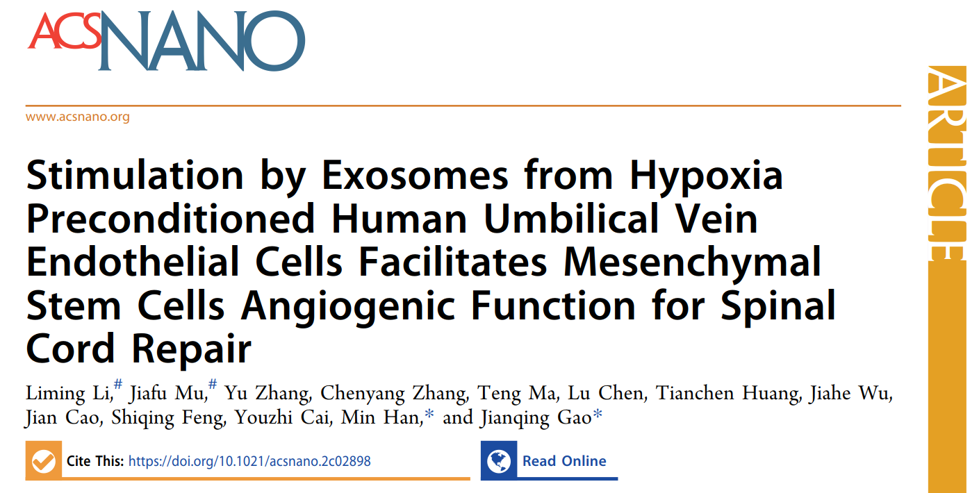 ACS Nano | 浙江大学药学院高建青教授与韩旻副教授团队：低氧处理的细胞外囊泡调节间充质干细胞成血管和脊髓修复