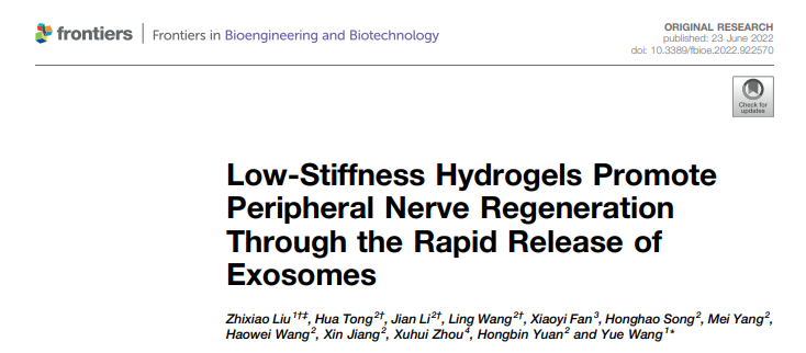 Front Bioeng Biotechnol |海军军医大学王越团队：低刚度水凝胶通过外泌体的快速释放促进外周神经再生