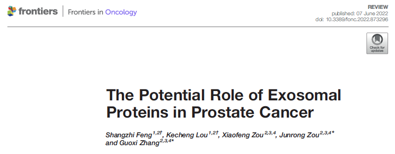 ​Frontiers in Oncolog | 赣南医学院第一附属医院的张国玺教授团队：外泌体蛋白在前列腺癌中的潜在作用