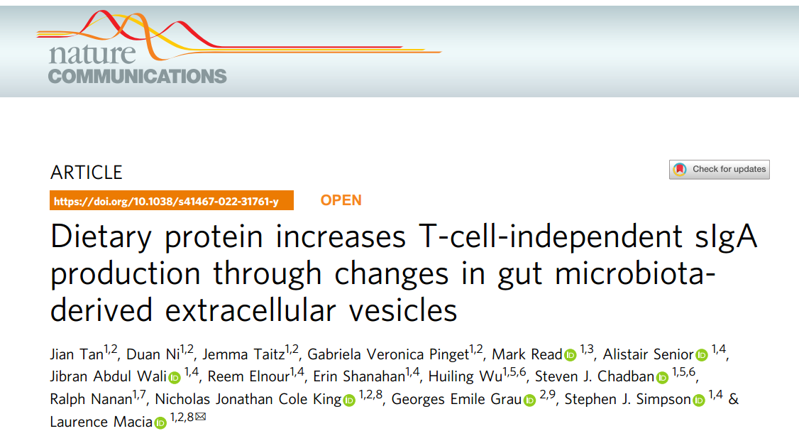 Nature：膳食蛋白通过肠道微生物群细胞外囊泡促进sIgA产生