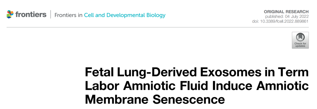 Front Cell Dev Biol | 山东第一医科大学王谢桐和李磊研究团队发现分娩的机制可能与足月临产羊水中胎肺来源外泌体诱导羊膜上皮细胞发生衰老相关