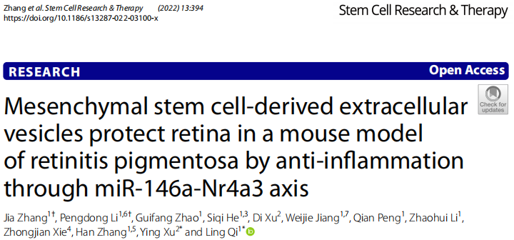 Stem Cell Res Ther|广州医科大学附属第六医院齐玲/暨南大学徐颖揭示间充质干细胞外小囊泡治疗视网膜色素变性的机制