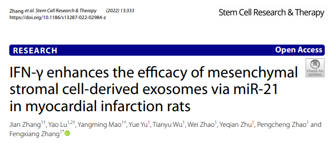Stem Cell Research&Research | 南京医科大学第一附属医院（江苏省人民医院）张凤祥教授团队：IFN-γ预处理干细胞可增强其外泌体的心脏保护功能