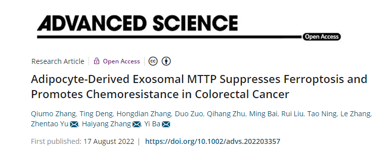 Advanced Science|天津医科大学巴一/张海洋/于振涛团队：脂肪来源外泌体影响结肠癌铁死亡和化疗耐药