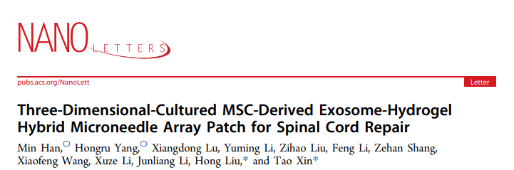 Nano Lett | 山东第一医科大学一附院辛涛与山东大学刘宏：水凝胶微针负载3D培养MSC-Exo在脊髓损伤中的应用研究