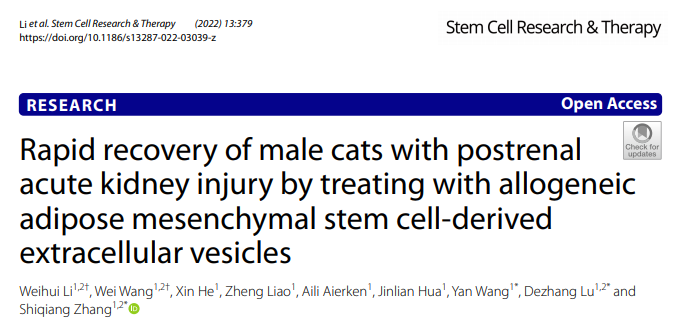 StemCell Res Ther|西北农林科技大学张仕强：同种异体脂肪间充质干细胞来源的细胞外囊泡有效治疗雄性猫肾后急性肾损伤