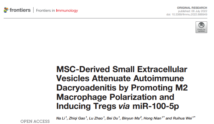 Front Immunol | 天津医科大学眼科医院魏瑞华/粘红: MSC衍生的小细胞外囊泡减轻自身免疫性泪囊炎