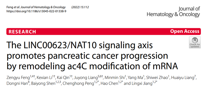 J Hematol Oncol |瑞金医院彭承宏、陈皓、蒋玲曦团队：血清外泌体来源LINC00623对胰腺癌患者诊断的价值