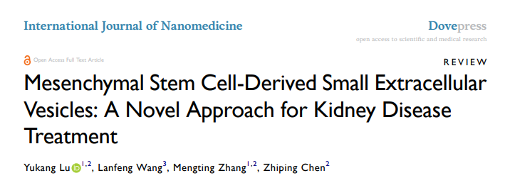 Int J Nanomedicine | 赣南医学院第一附属医院检验科陈志平团队：间充质干细胞来源小细胞外囊泡治疗肾脏疾病