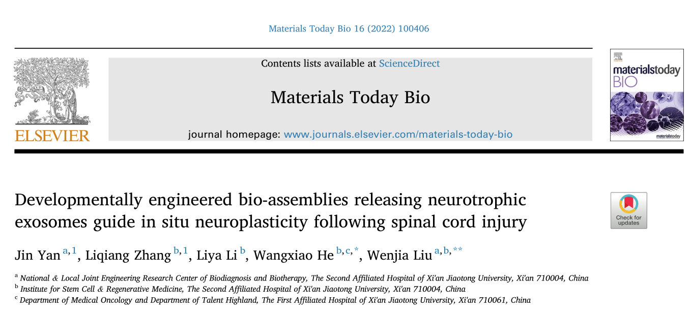 Mater Today Bio |西安交大第一、二附属医院：发育工程化的生物装配体释放神经营养外泌体引导脊髓损伤后的原位神经重塑