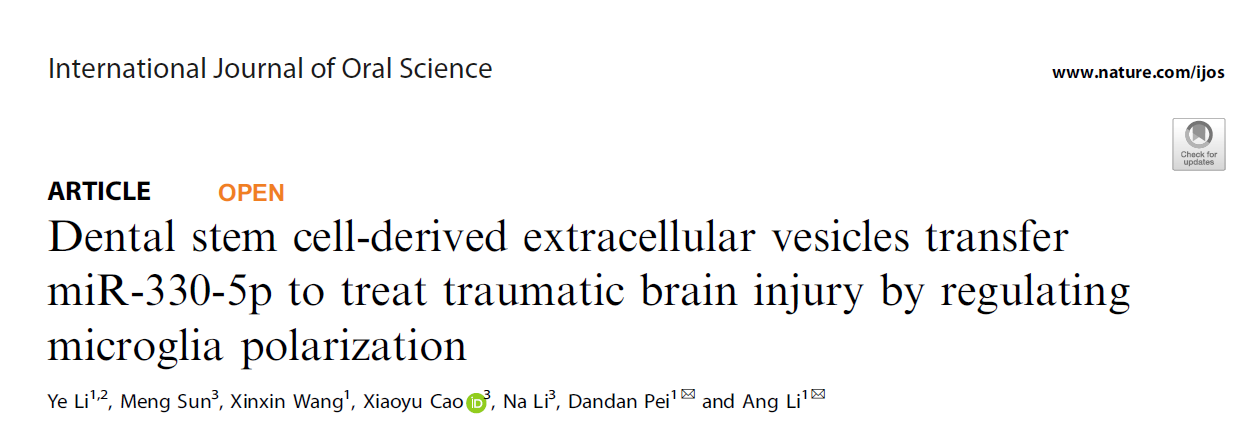 Int J Oral Sci | 西安交通大学李昂、裴丹丹团队：揭示牙源性干细胞外泌体治疗创伤性脑损伤的分子机制