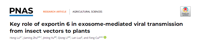 PNAS | 中国科学院大学崔峰研究团队：exportin 6在外泌体介导的病毒向植物传播中发挥关键作用