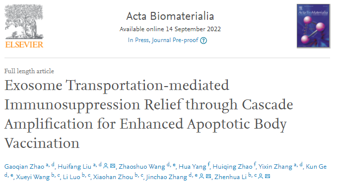 Acta Biomaterialia |南方医科大学李振华/河北大学张金超、刘会芳：外泌体缓解免疫抑制并增强凋亡小体疫苗作用