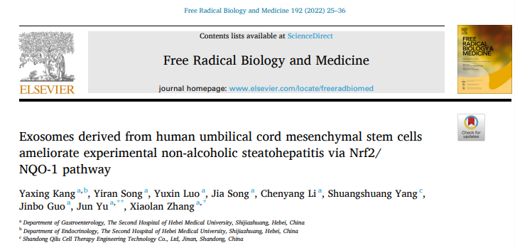 Free Radic Biol Mede | 河北医科大学第二医院张晓岚：人脐带源间充质干细胞外泌体减轻非酒精性脂肪性肝炎