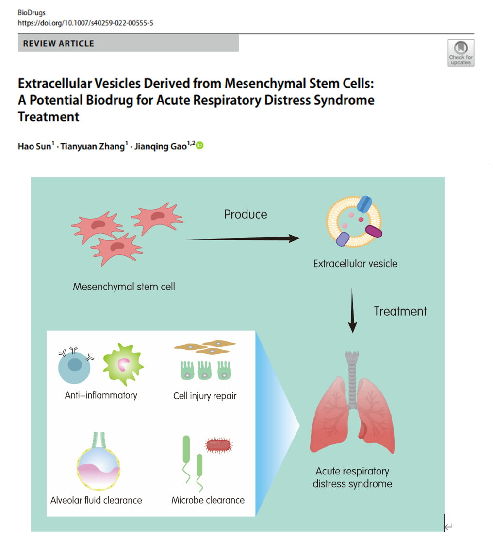 <综述> BioDrugs|浙江大学药学院高建青团队：间充质干细胞来源的细胞外囊泡用于急性呼吸窘迫的治疗