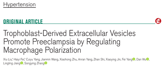 Hypertension| 浙江大学张松英、江玲玲团队：滋养细胞胞外囊泡调控巨噬细胞参与子痫前期的发病