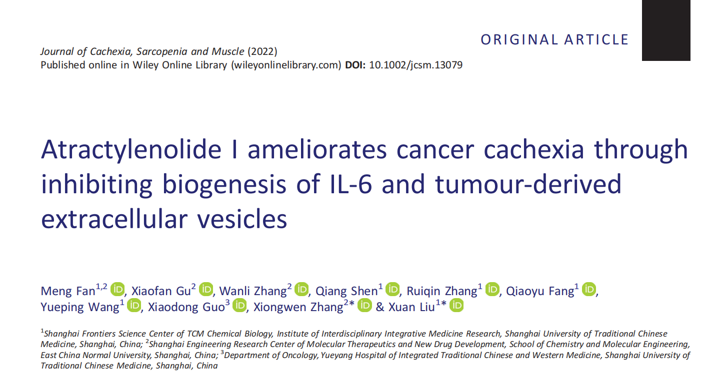 J CACHEXIA SARCOPENI|上海中医药大学刘璇/华东师范大学章雄文：白术内酯I抑制肿瘤细胞外泌体分泌改善肿瘤恶病质