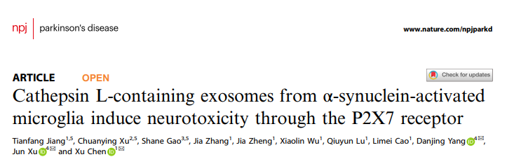 npj Parkinson’s Disease |徐俊团队：由A53T a-Syn寡聚体激活的小胶质细胞通过外泌体诱导神经毒性