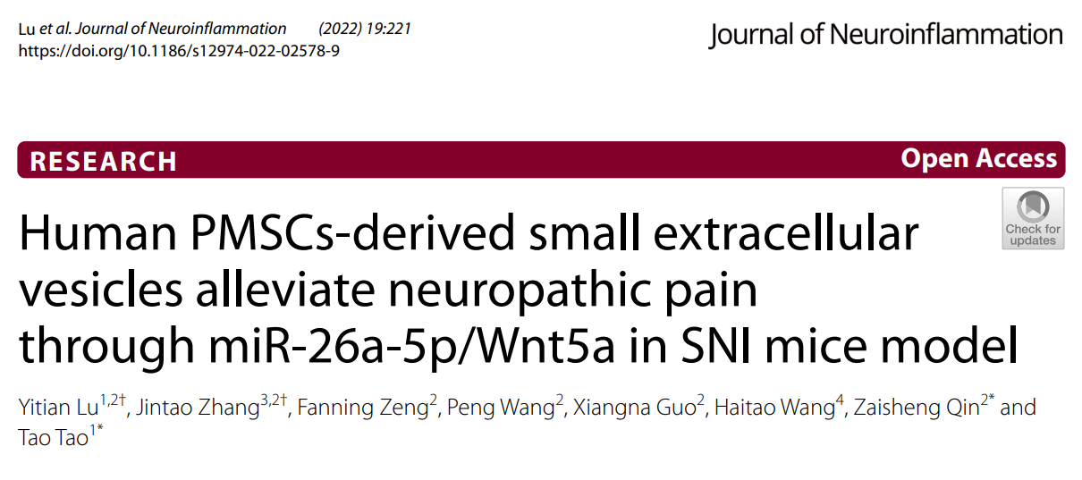 J Neuroinflammation | 湛江中心人民医院麻醉科陶涛团队：人胎盘间充质干细胞外泌体抗神经炎症缓解神经病理性疼痛