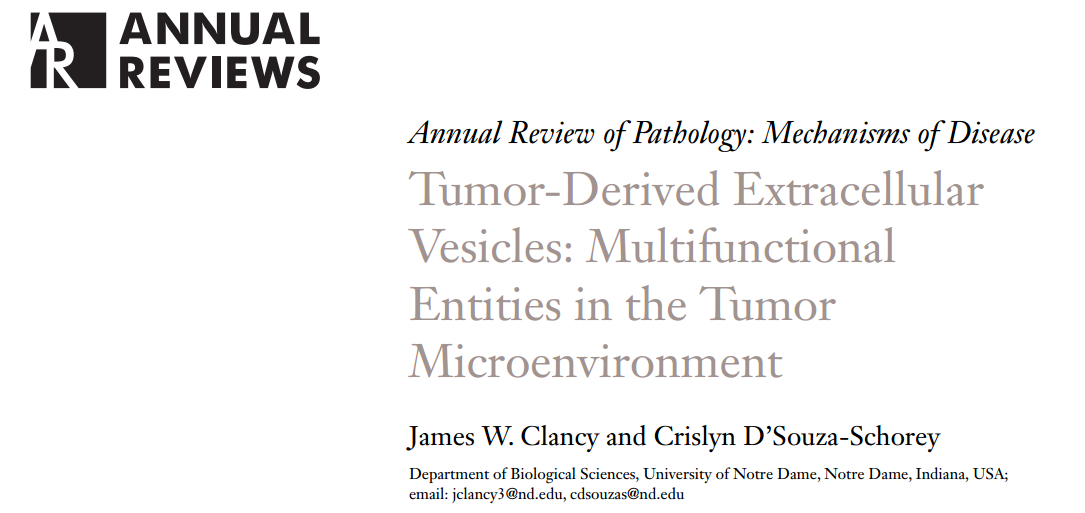 Annu Rev Pathol：肿瘤衍生的细胞外囊泡——肿瘤微环境中的多功能实体