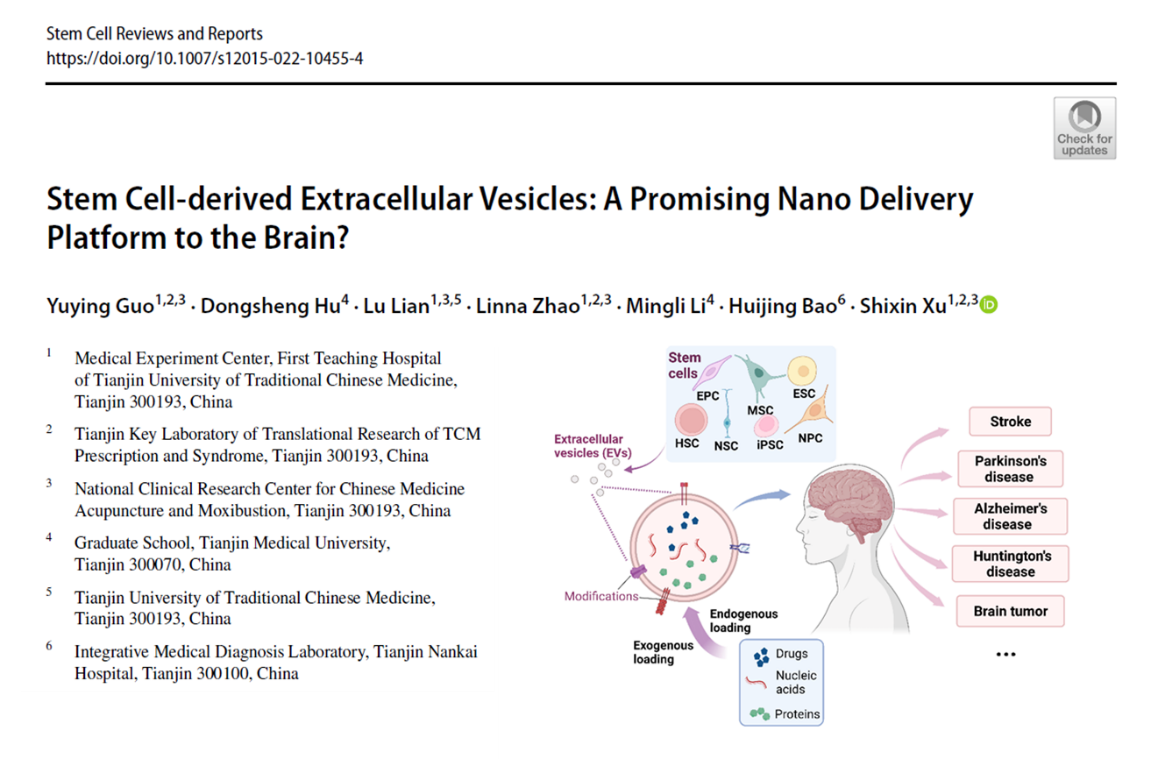 STEM CELL REV REP | 天津中医药大学一附院徐士欣/天津南开医院鲍会静：细胞外囊泡作为脑部药物递送系统的全面评估
