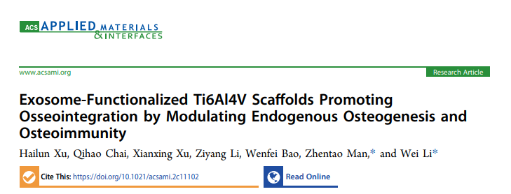 ACS Appl Mater Interfaces | 山东第一医科大学附属省立医院李伟教授团队：外泌体功能化支架促进骨整合