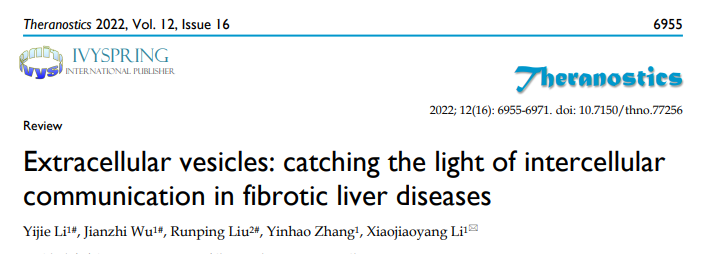 Theranostics | 北京中医药大学生命科学学院李晓骄阳教授团队：细胞外囊泡在纤维化肝脏疾病中的作用