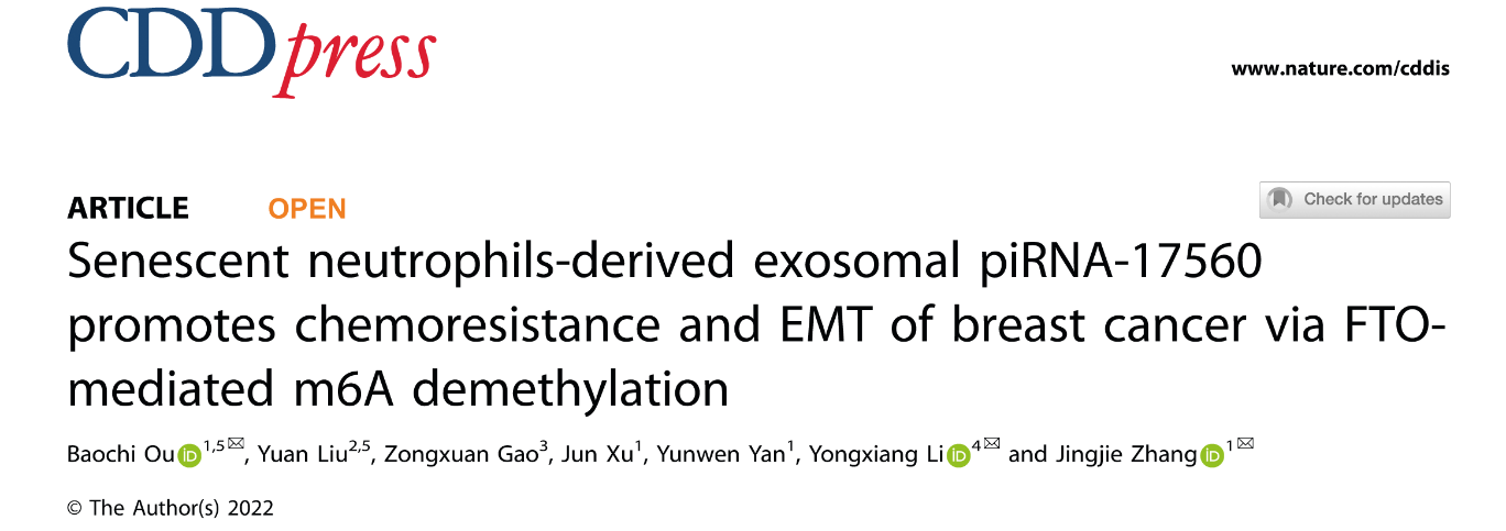 Cell Death & Disease|安徽医科大学张敬杰教授团队：衰老中性粒细胞外泌体来源piRNA在治疗乳腺癌耐药中的价值