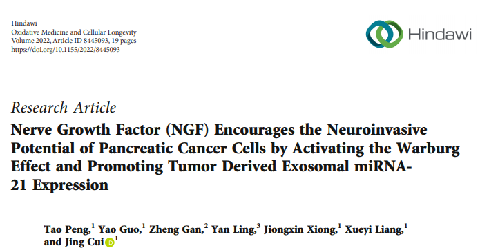 Oxid Med Cell Longev | 华科同济附属协和医院崔静/彭涛：肿瘤外泌体对胰腺癌神经浸润（PNI）的影响