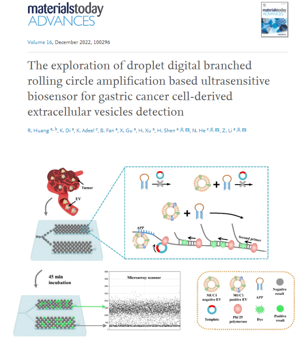 Materials today advances | 南京大学医学院附属鼓楼医院李智洋研究员、沈瀚教授和东南大学何农跃教授研究团队：免清洗数字化滚环扩增的胃癌来源EVs超灵敏检测技术