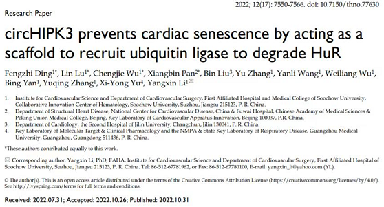 苏州大学李杨欣教授团队揭示外泌体中circHIPK3通过作为分子粘合剂招募泛素连接酶降解HuR来防止心脏衰老