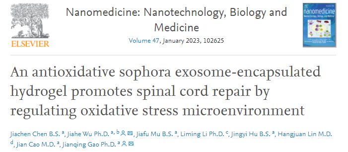 Nanomedicine|浙江大学药学院高建青教授团队：槐米外泌体通过调控氧化应激微环境促进脊髓损伤后修复