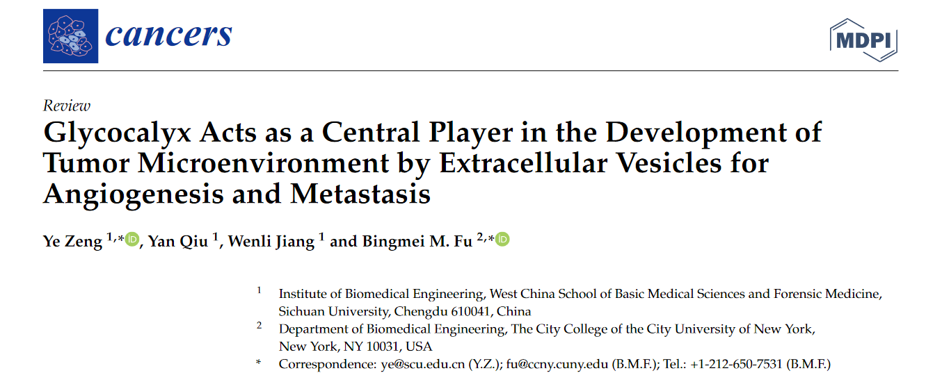 Cancers | 糖萼在胞外囊泡营造适宜肿瘤微环境以促进血管生成和转移中起着核心作用