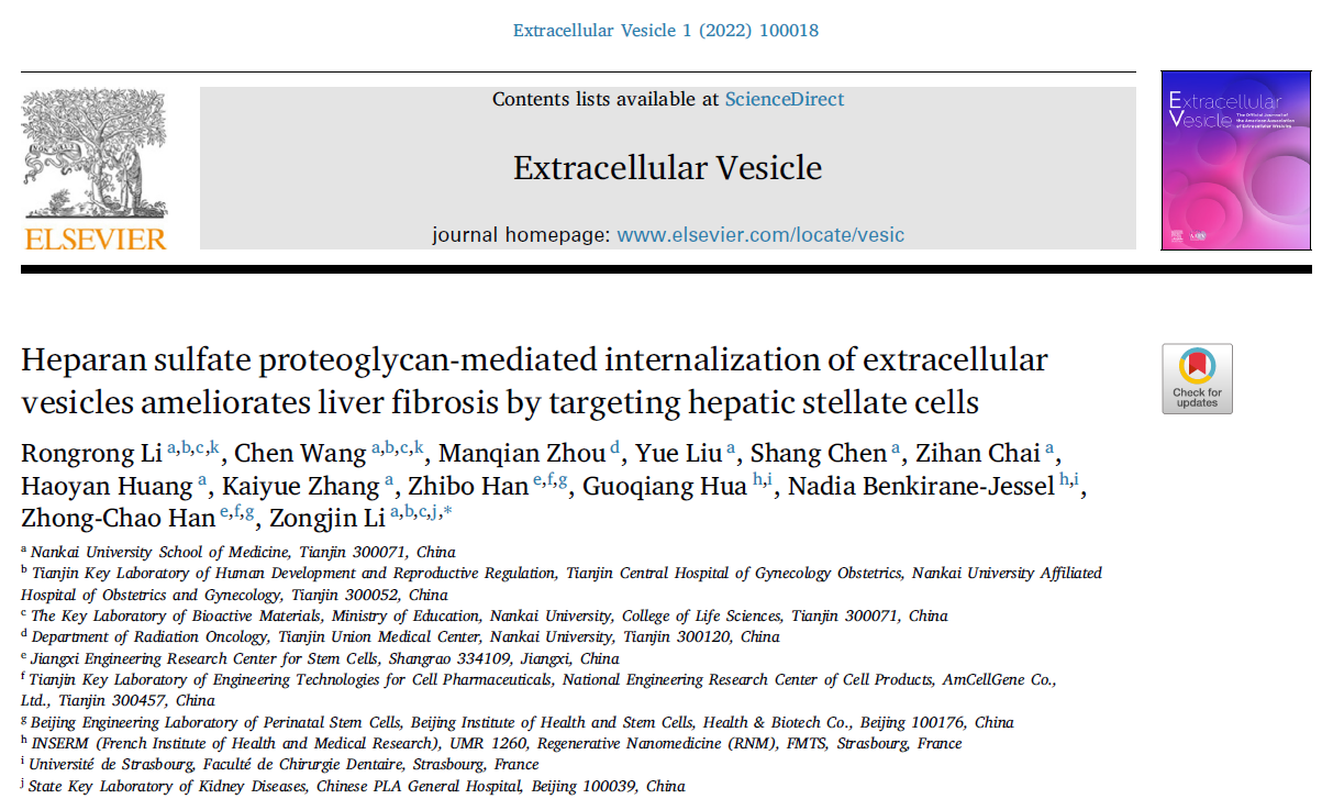 【Extracellular Vesicle】南开大学李宗金教授团队： 硫酸乙酰肝素蛋白多糖介导肝星状细胞内化细胞外囊泡改善肝纤维化