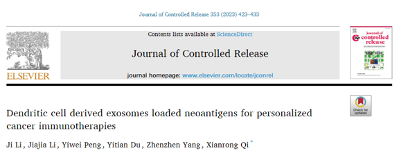 J CONTROL RELEASE | 北京大学：树突状细胞衍生的外泌体装载肿瘤新抗原用于个体化精准化肿瘤免疫治疗
