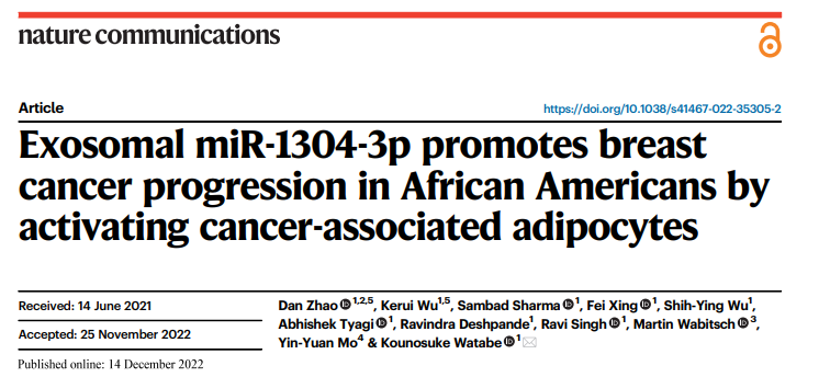 Nat Commun丨外泌体miR-1304-3p的种族表达差异导致乳腺癌不同进展