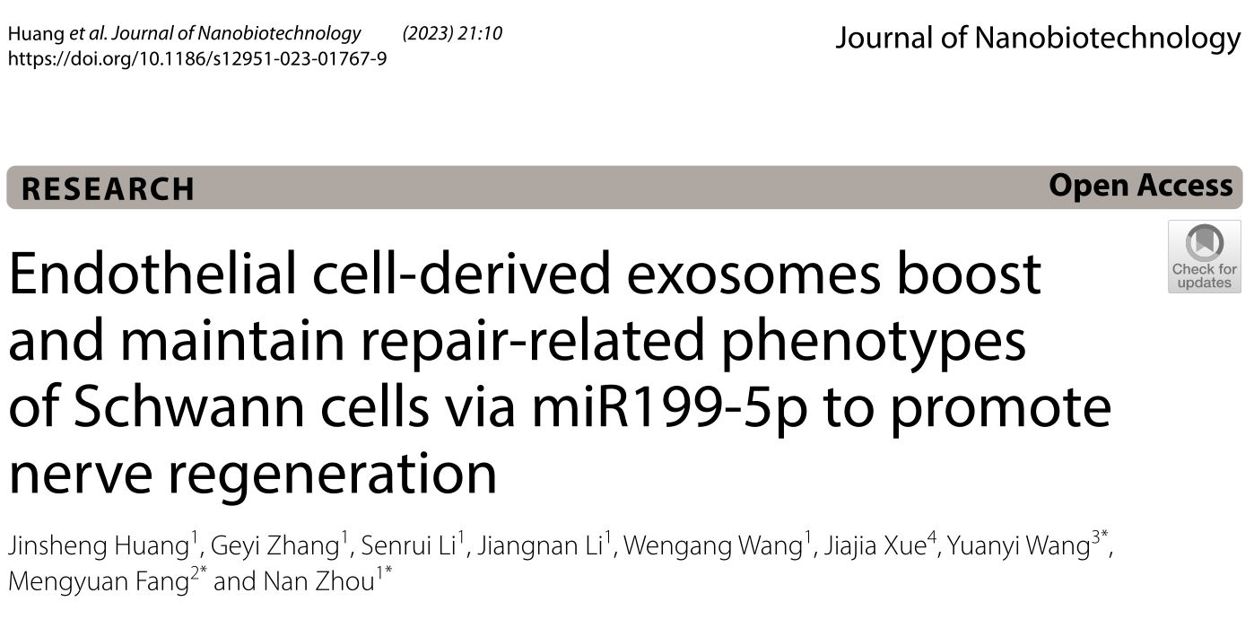 J Nanobiotechnology |郑州大学第一附属医院周南团队：内皮细胞来源外泌体通过miR199-5p促进并维持雪旺细胞修复相关表型以促进神经再生