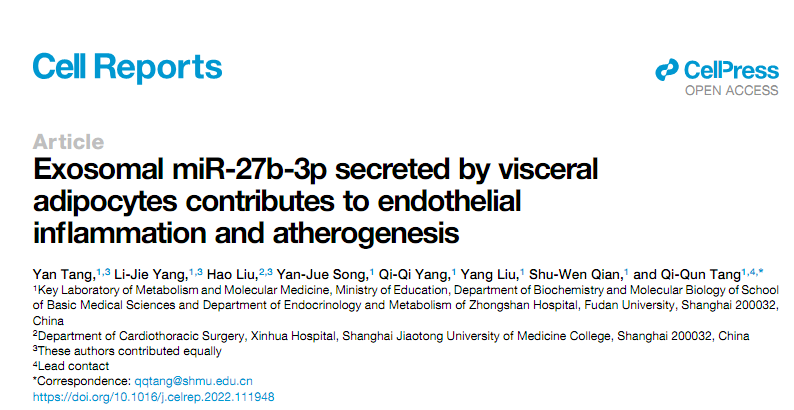 Cell Reports|复旦大学汤其群团队：内脏脂肪外泌体miRNA在动脉粥样硬化性疾病中的作用及机制研究