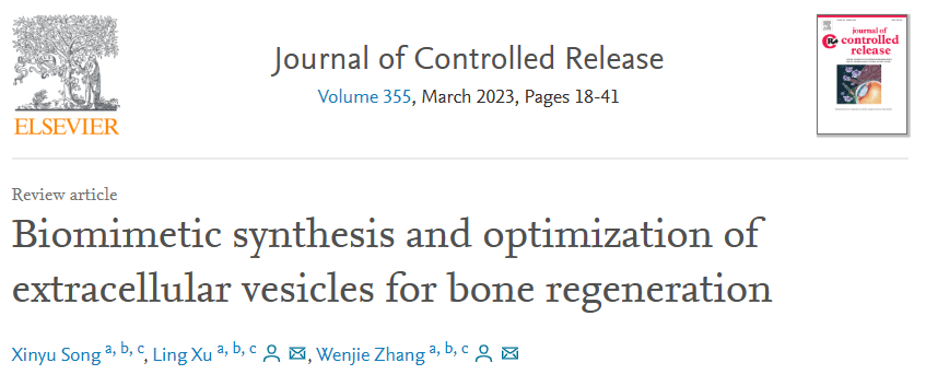 【综述】J Control Release|上海交大医学院附属第九人民医院张文杰团队：细胞外囊泡的仿生合成与优化应用于骨再生